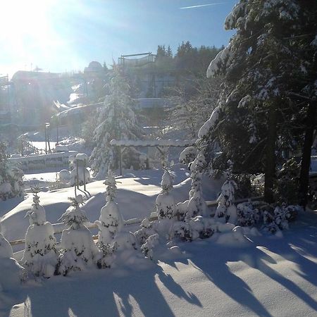 Fewo-Winterberg Exteriör bild