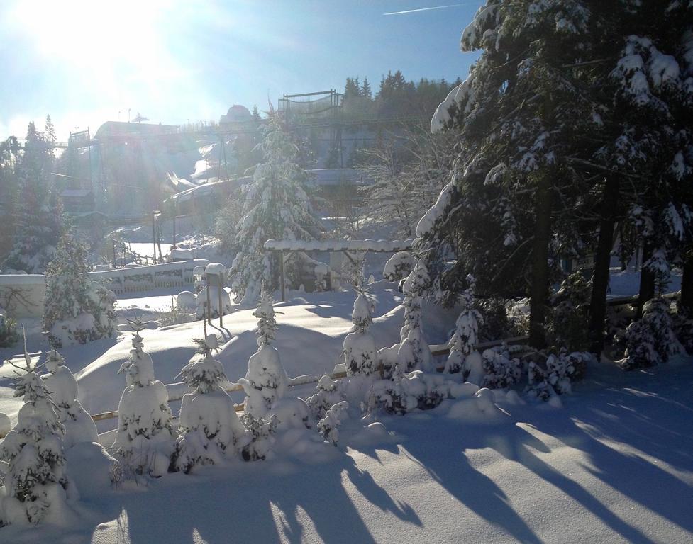 Fewo-Winterberg Exteriör bild